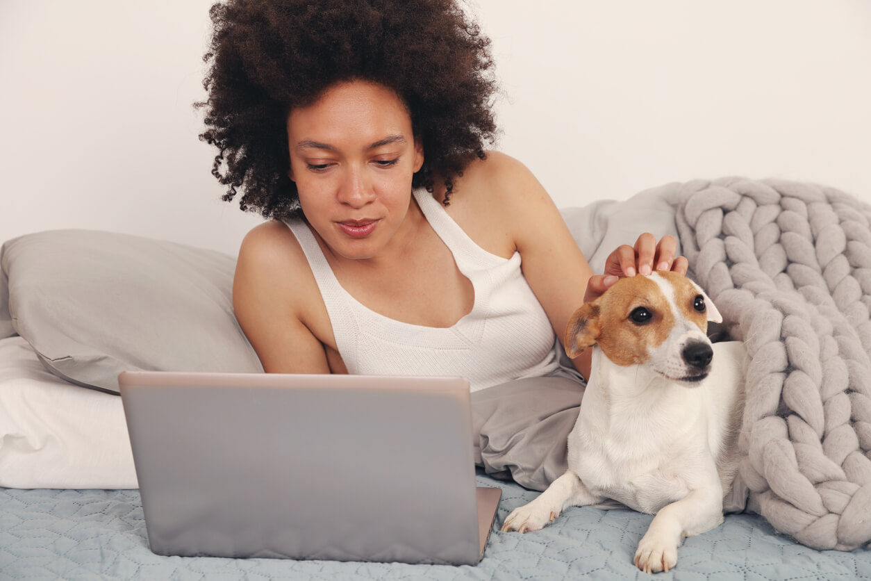 A woman lying in bed looking at her laptop and petting her Jack Russel Terrier. 
