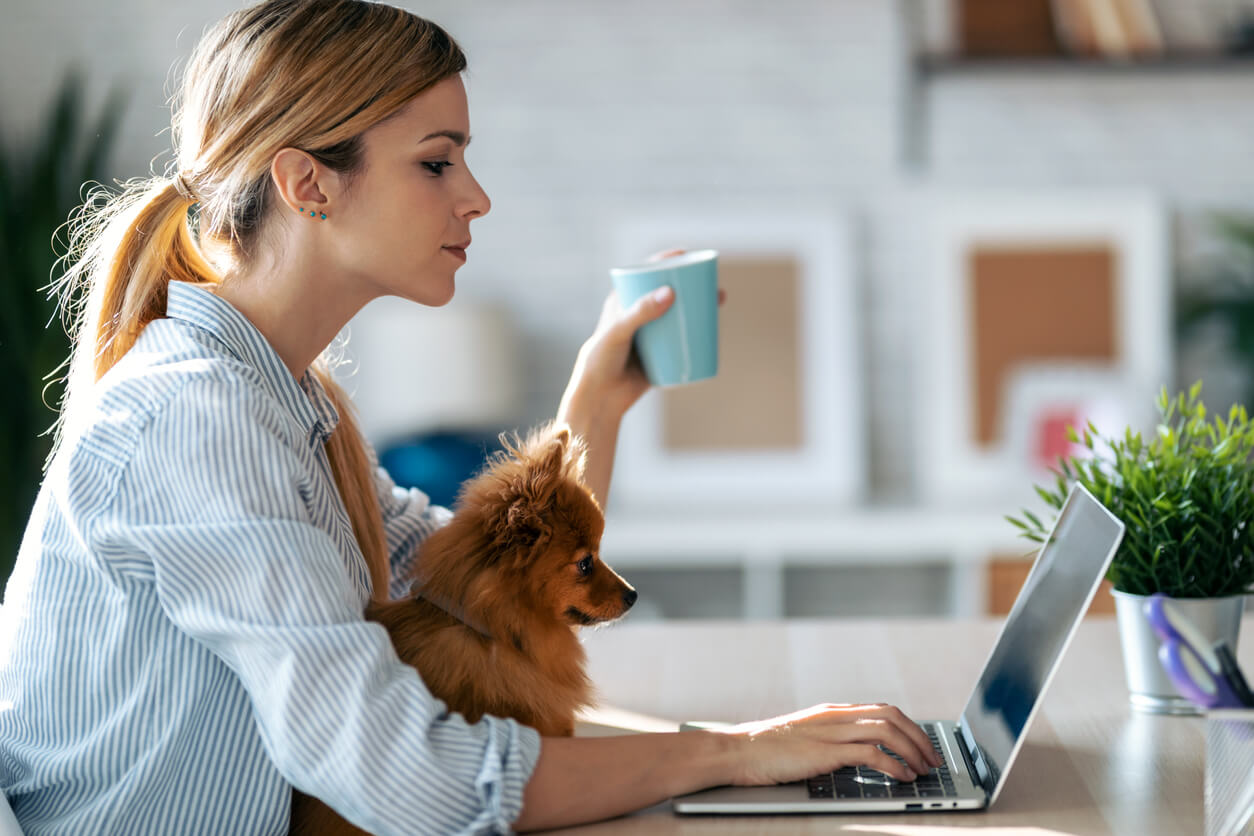 200 nombres para perros con la letra «A»