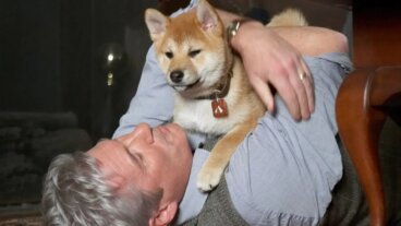 Más de 390 nombres originales para perros con su significado