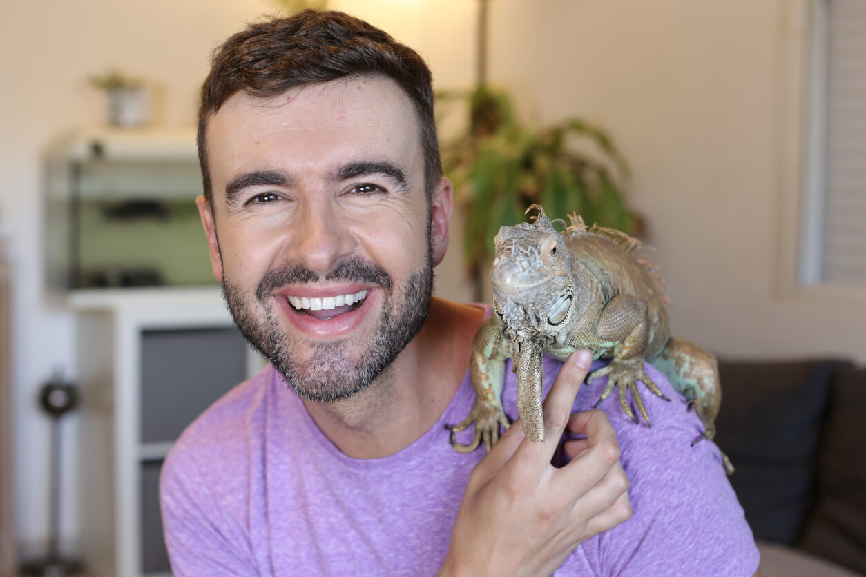 Hombre sonríe mientras una iguana se posa en su hombro. Mascota ideal para tu estilo de vida. 
