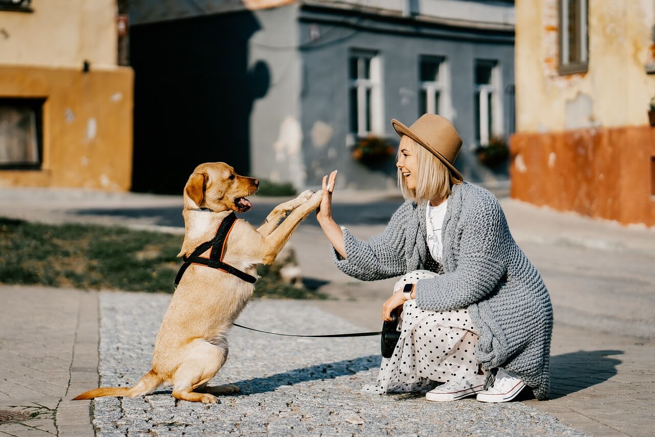 Cuidadora enseña a cachorro a dar la pata.
