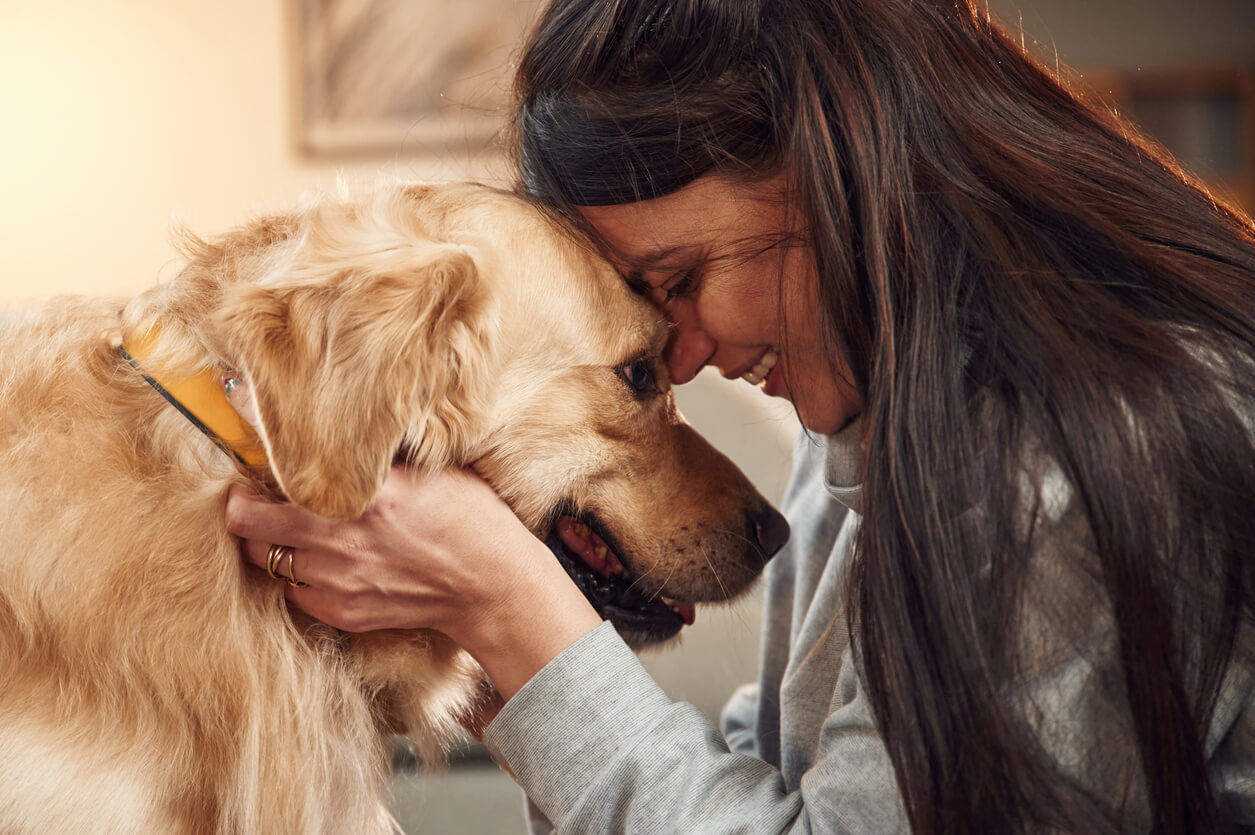 La giovane donna scuote la testa con quella del suo cane.