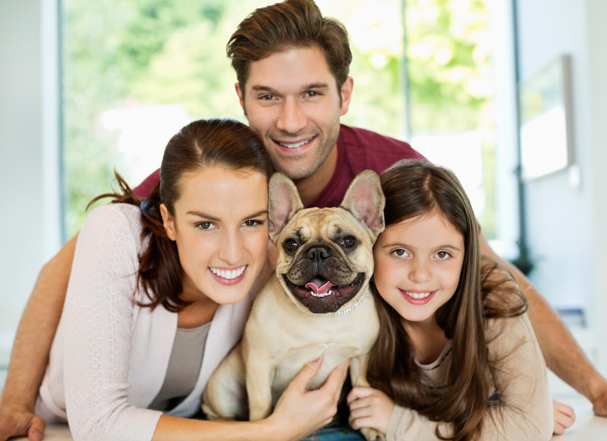 Bulldog francés sonríe en medio de una familia conformada por una pareja y su hija. 