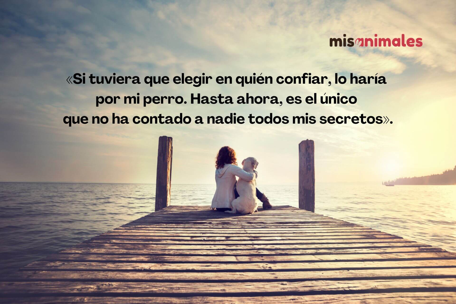 Humana y un perro sentados en un muelle. Frases bonitas de perros y dueños.