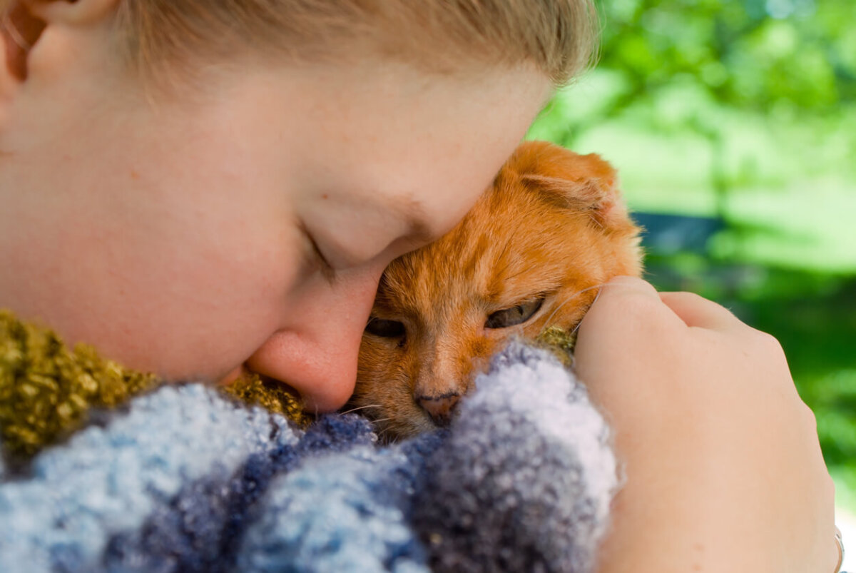 Humana abraza a su felino antes de morir. Los gatos se despiden antes de morir.