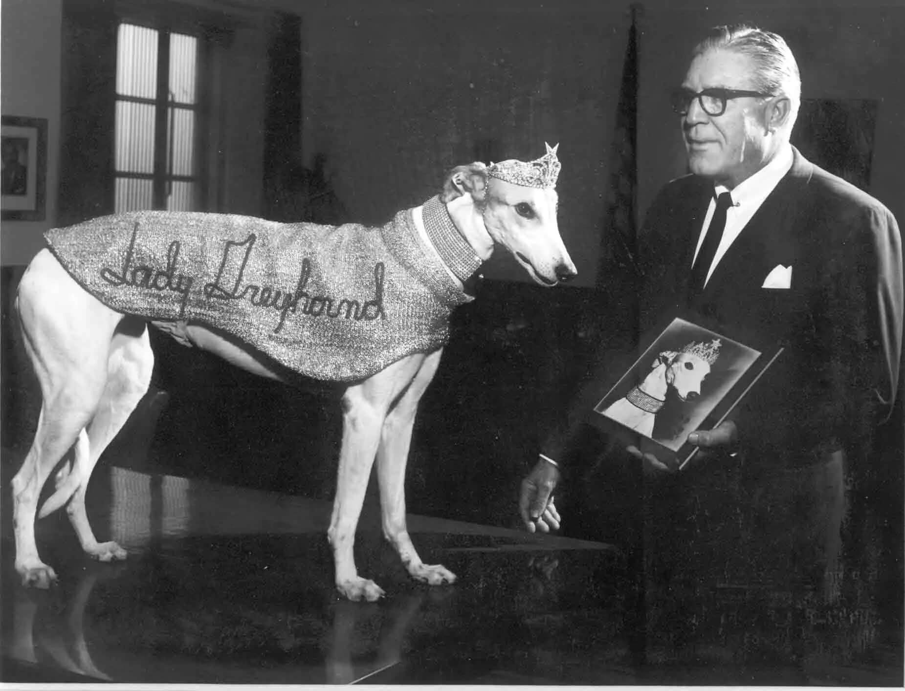 "Lady Greyhound" became famous in the 1950s as the face of Greyhound buses, whose logo was a greyhound dog.