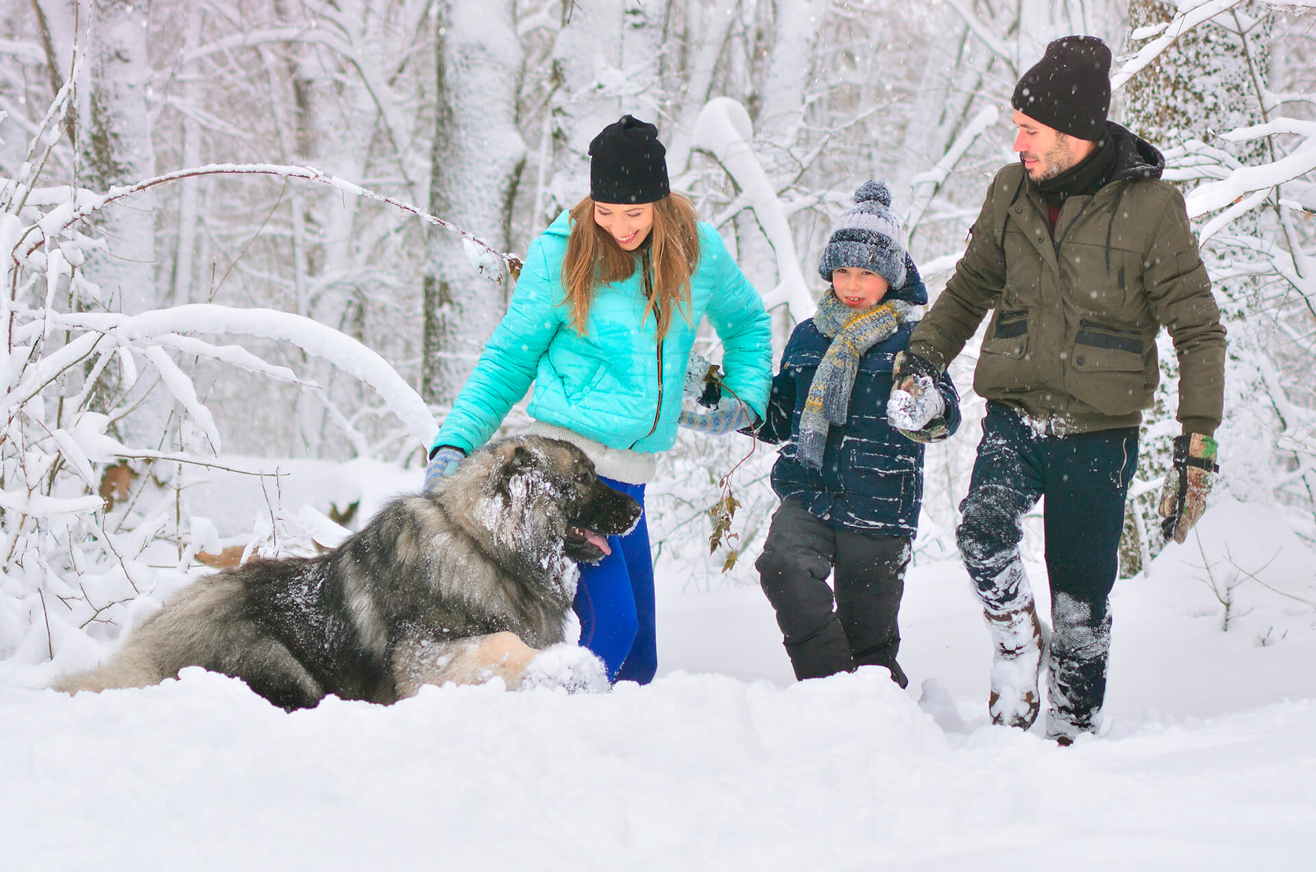 Pastore caucasico con una coppia e un bambino in una foresta con neve.