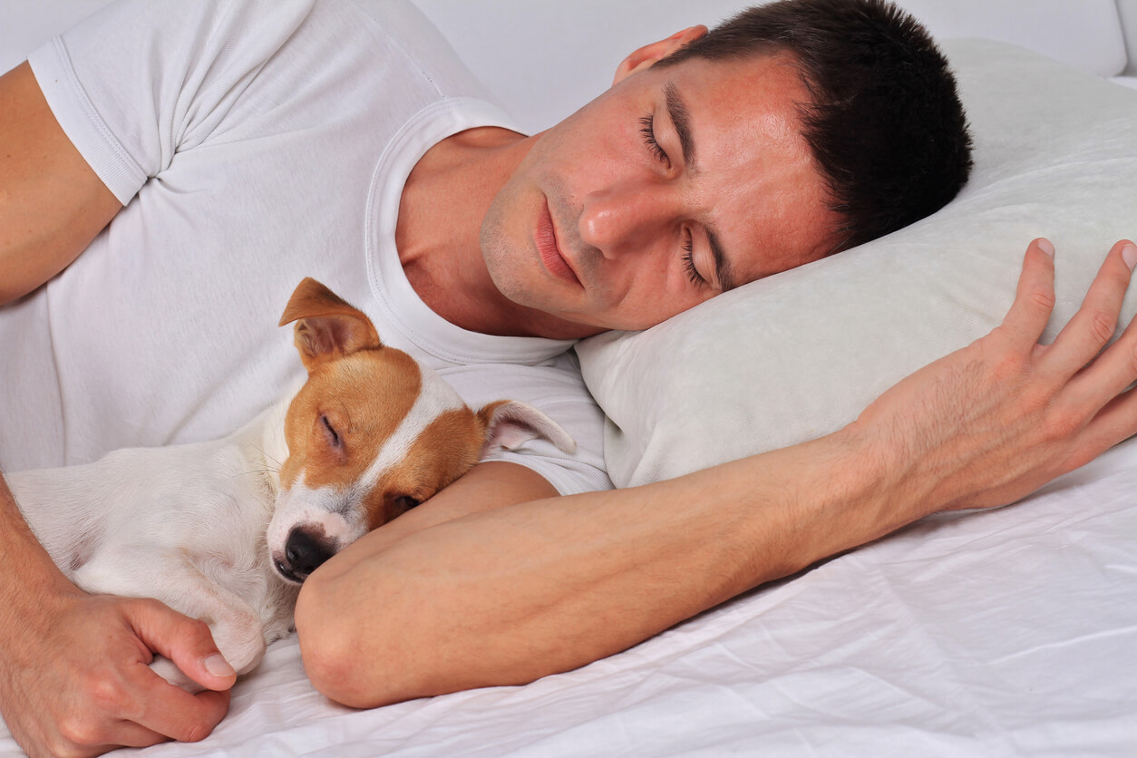 Il cane dorme accanto all'uomo.