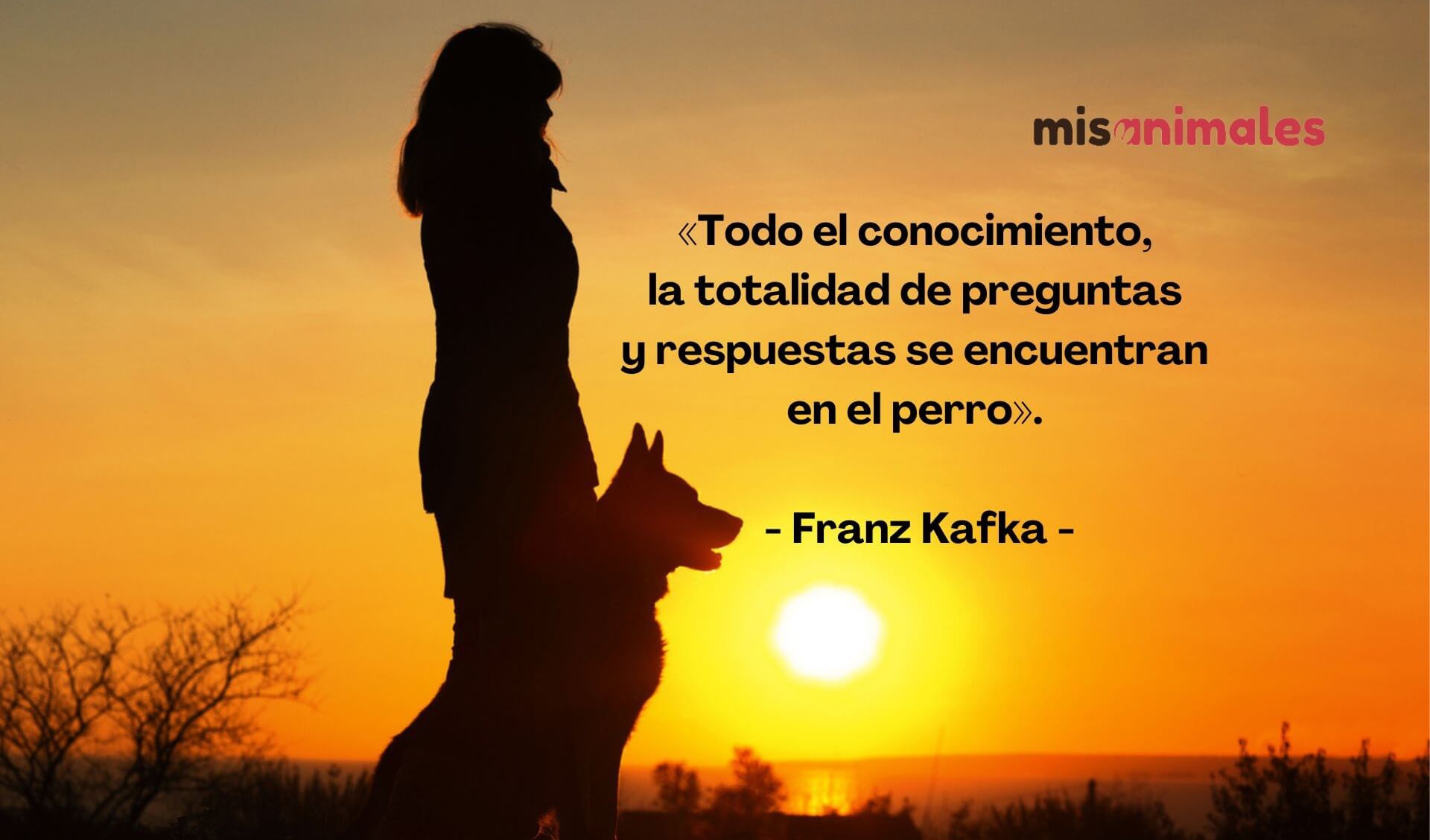 Frases bonitas entre perros y dueños.