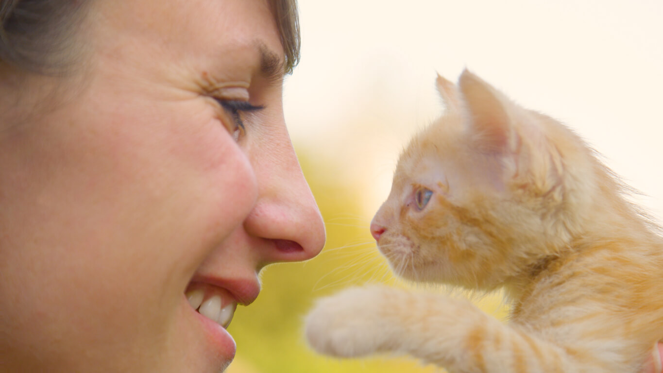 Mujer y gato se miran. 