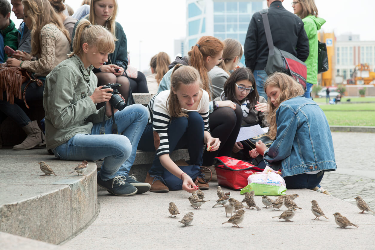 Les moineaux reçoivent de la nourriture des adolescents.