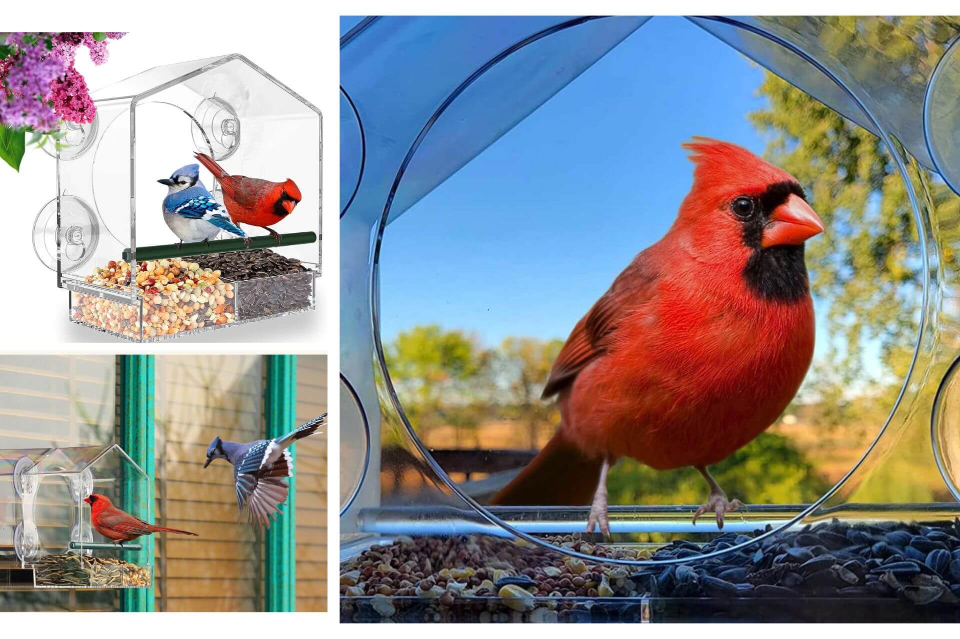 Comedero de pájaros Mrcrafts.