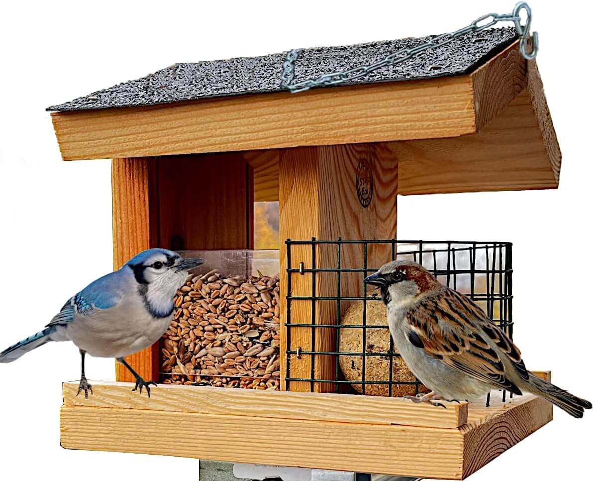 Comedero de pájaros Stafeco.