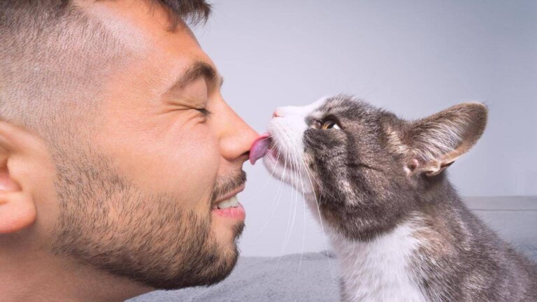 ¿Por qué hay personas que atraen a los gatos con facilidad?