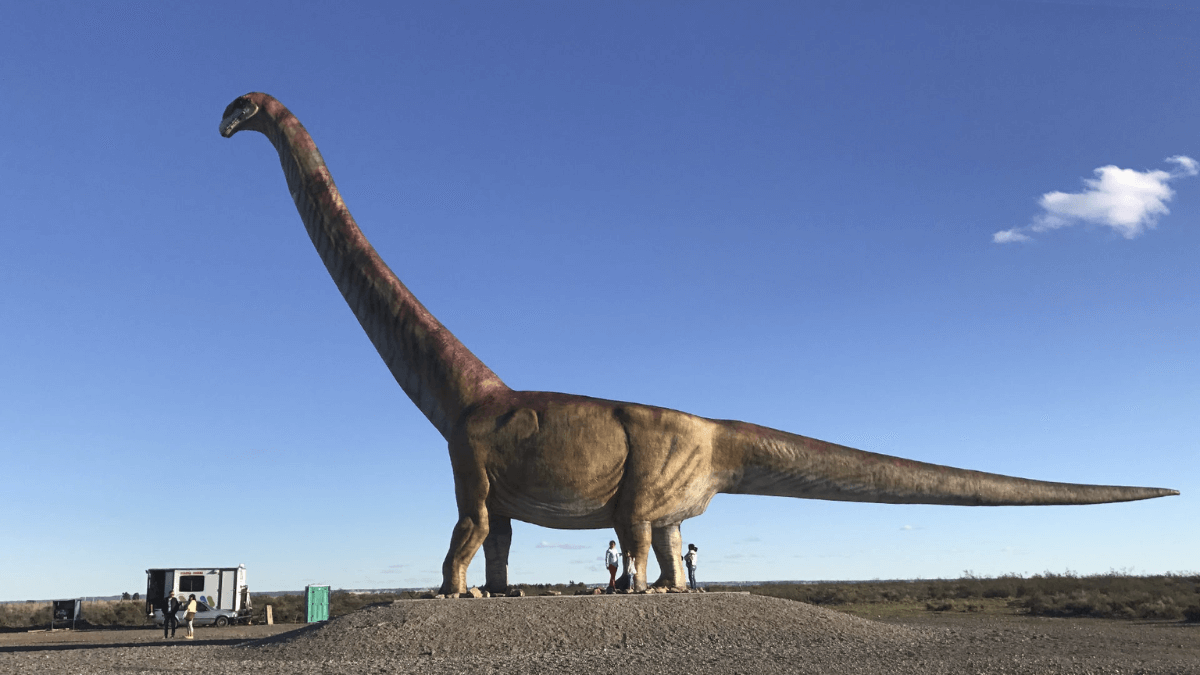 Patagotitan mayorum.