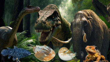 Animales prehistóricos vivos y extintos: ejemplos y características