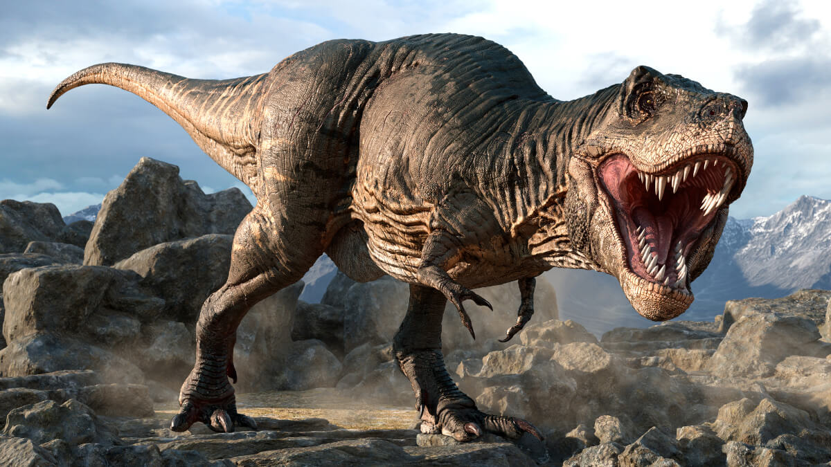 The Tyrannosaurus rex lived during the Upper Cretaceous period.