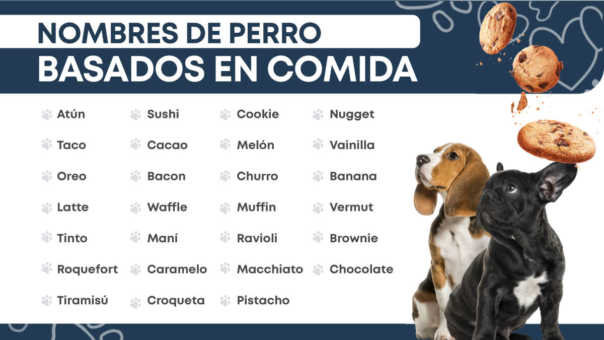 Infografía sobre nombres de perro basados en comida.