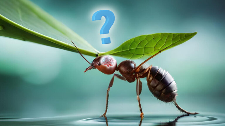 ¿Las hormigas tienen cerebro? Descubre cómo es su interior