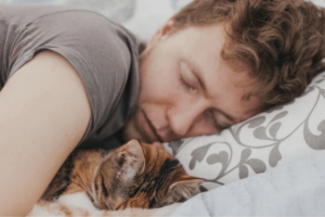 Pros y contras de dormir con tu gato en la cama