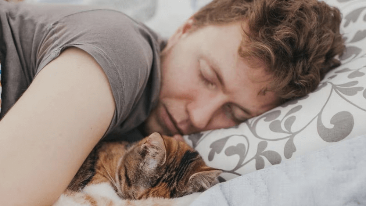 Pros y contras de dormir con tu gato en la cama