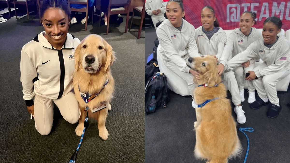 Perro Beacon y equipo de gimnasia de Estados Unidos.