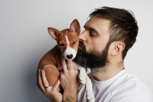 5 consejos que necesitas saber al adoptar un perro