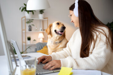 5 consejos para trabajar desde casa con tu mascota