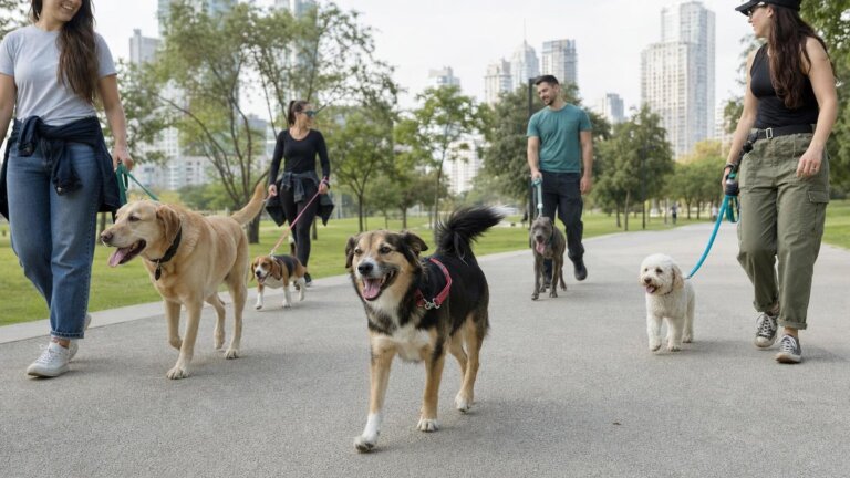 ¿Cuántos perros hay en el mundo?